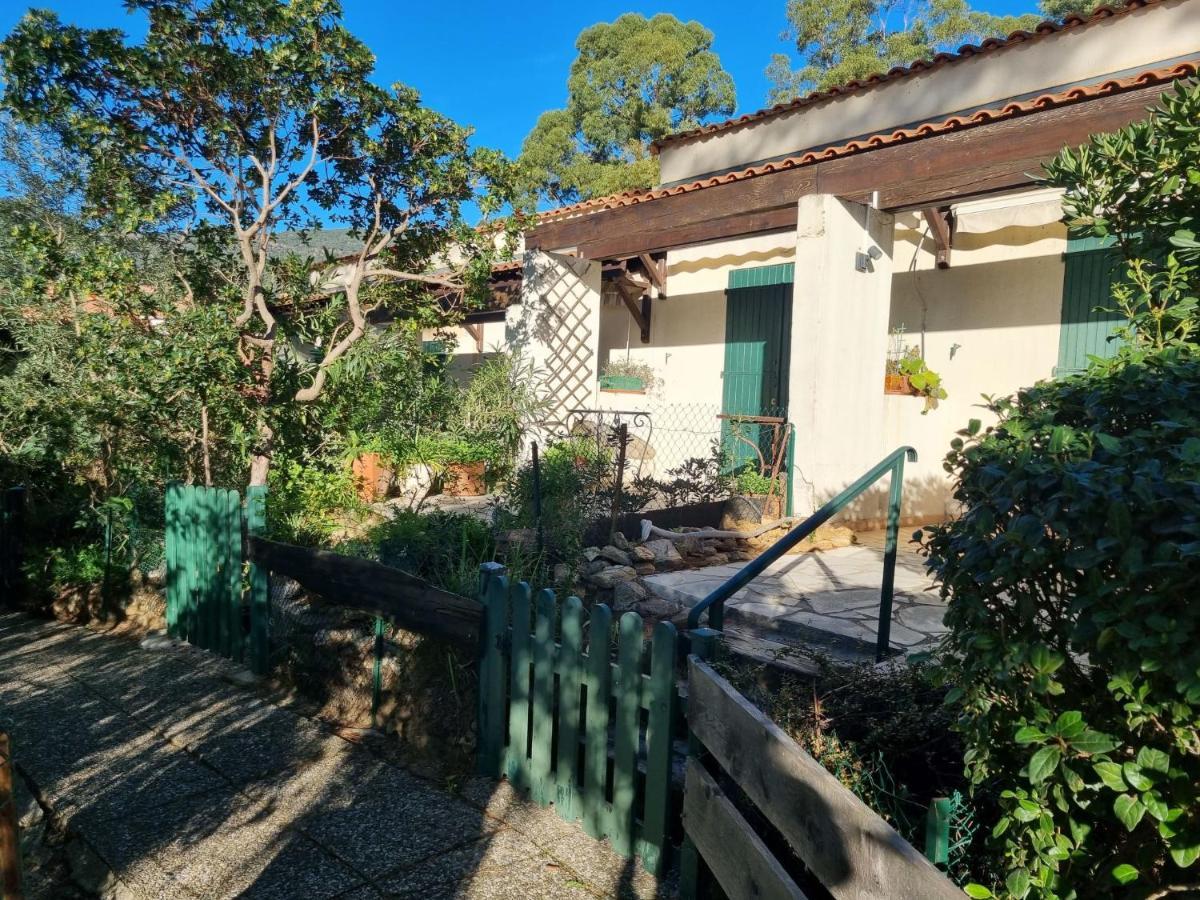Studio Mas De La Plage By Interhome Cavalaire-sur-Mer Exterior photo